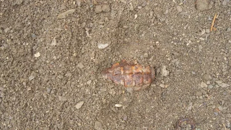 В Тертере обнаружена ручная граната