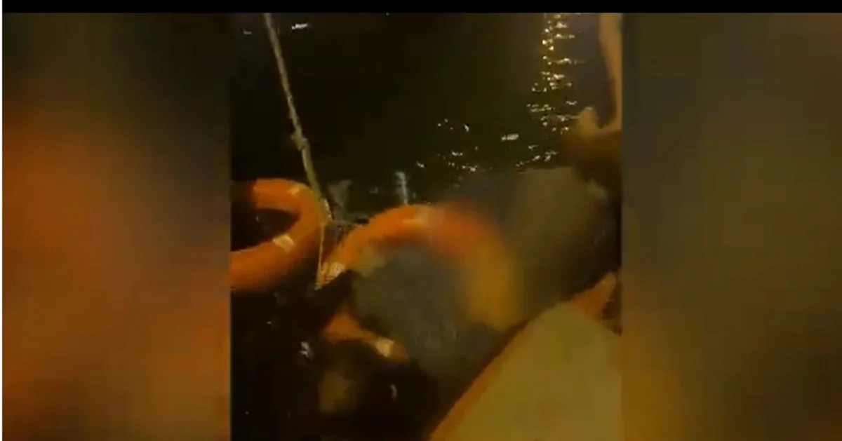 Bulvarda batma təhlükəsi ilə üzləşən qadın xilas edilib