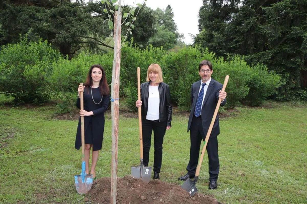 AXC-nin 100 illiyi çərçivəsində Sofiyada ağacəkmə kampaniyası keçirilib - FOTO
