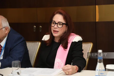 Nizami Gəncəvi Mərkəzinin üzvləri gender yönümlü layihələrin maliyyələşdirilməsini artırmağa çağırıb