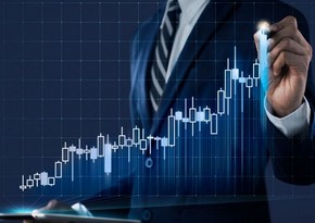 Azerbaijan's compulsory insurance market down 11%