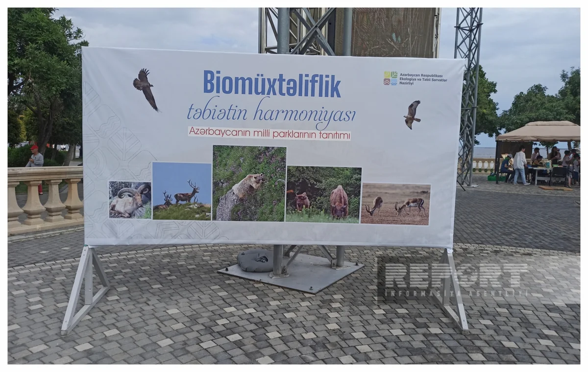 Azərbaycanın milli parklarının tanıtımı ilə bağlı hər ay tədbirlər keçiriləcək - YENİLƏNİB