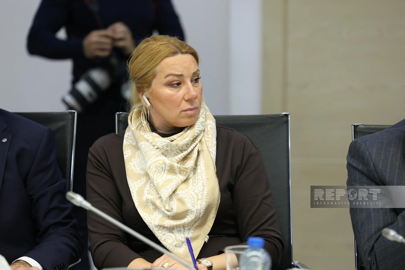 Son iki ildə minadan əziyyət çəkən 172 nəfərə dəstək göstərilib