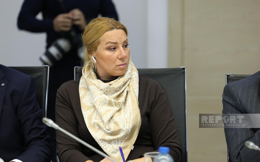 Son iki ildə minadan əziyyət çəkən 172 nəfərə dəstək göstərilib