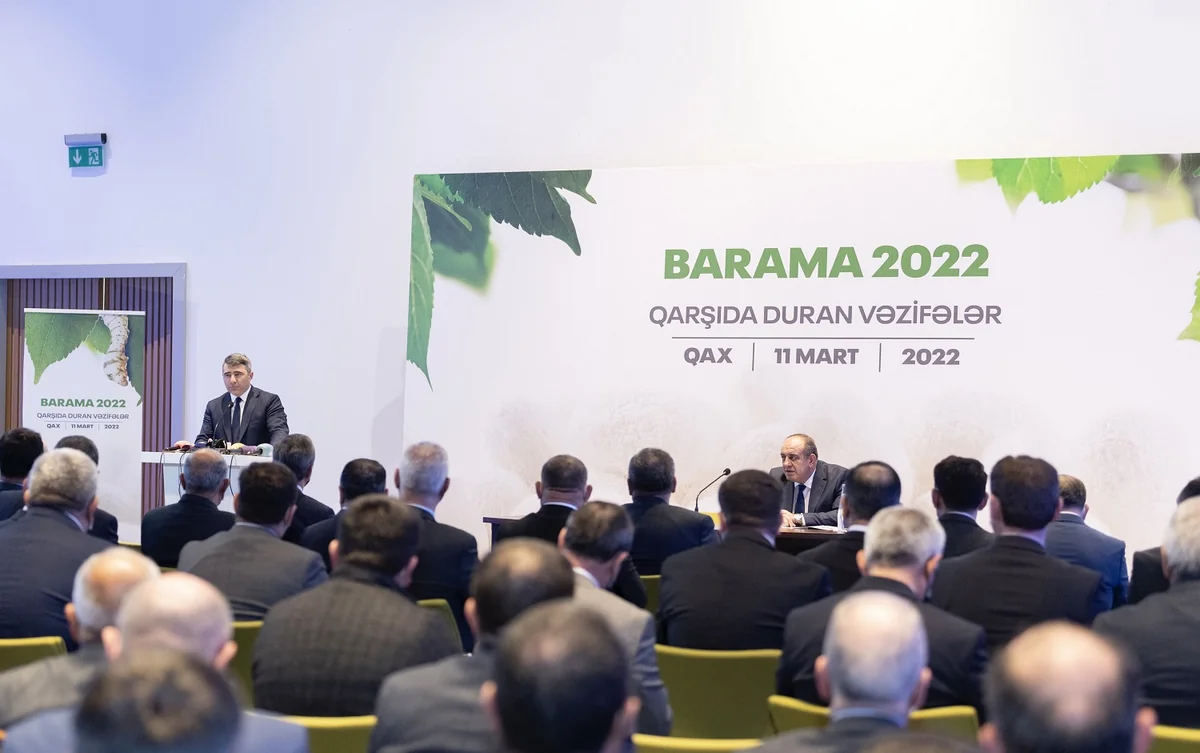 Azərbaycanda yaş baramanın fermerlərdən alış qiyməti artırılıb
