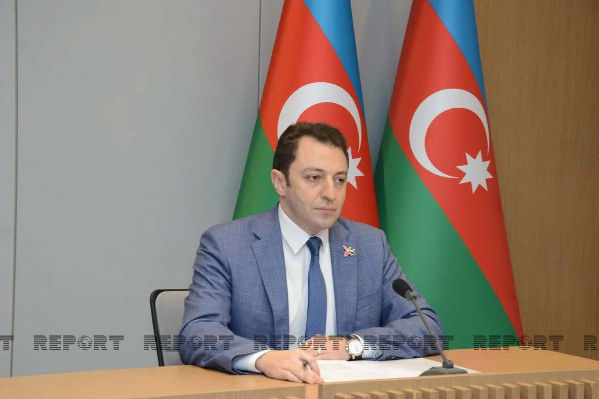 Deputy FM: Armenia's attempts to have harsh decisions made against Azerbaijan failed