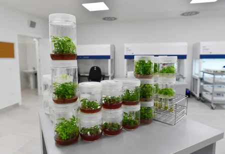 İlham Əliyev və Mehriban Əliyeva “Grand-Agro İnvitro” MMC-nin müəssisəsi ilə tanış olub