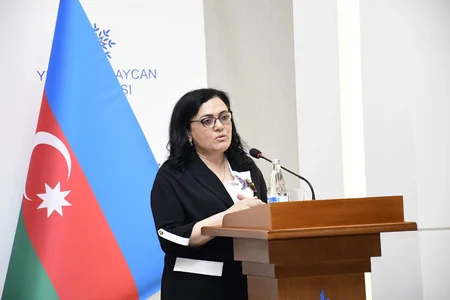 YAP-ın 2024-cü il üzrə maliyyə hesabatı təsdiq edilib