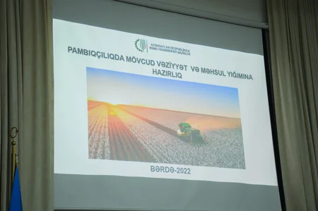 Azərbaycanda bu il 7 növ pambıq əkilib