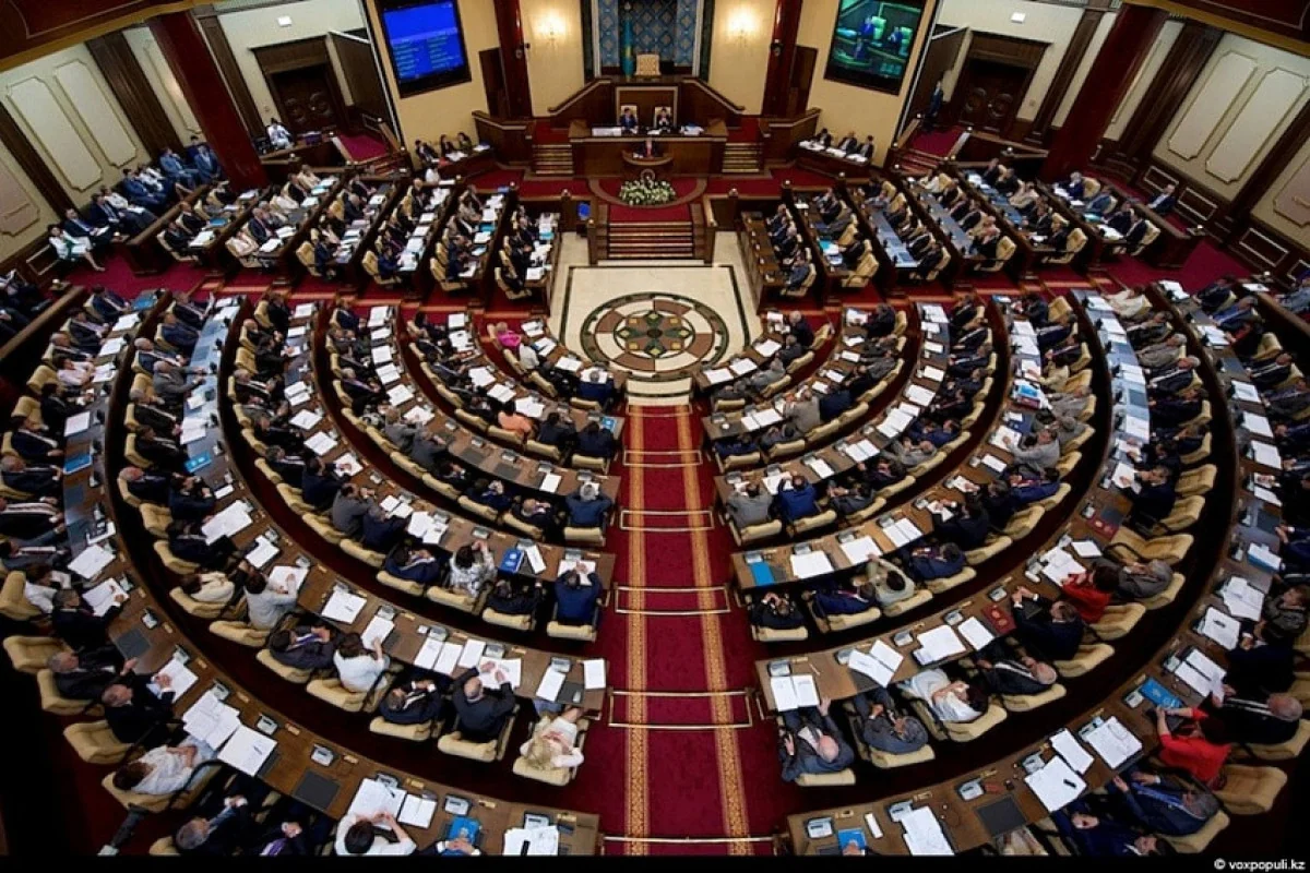 Kazakhstani deputies call for review of foreign NGO status