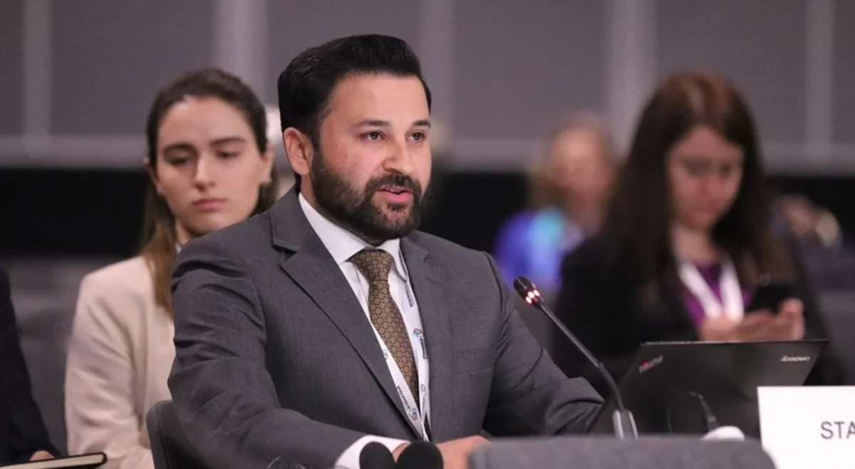 Expert: Exclusion of certain countries from Democracy Summit - missed opportunity for dialogue