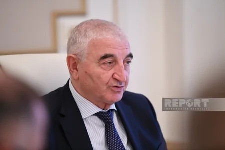 Məzahir Pənahov Serbiyada seçkiləri müşahidə edəcək