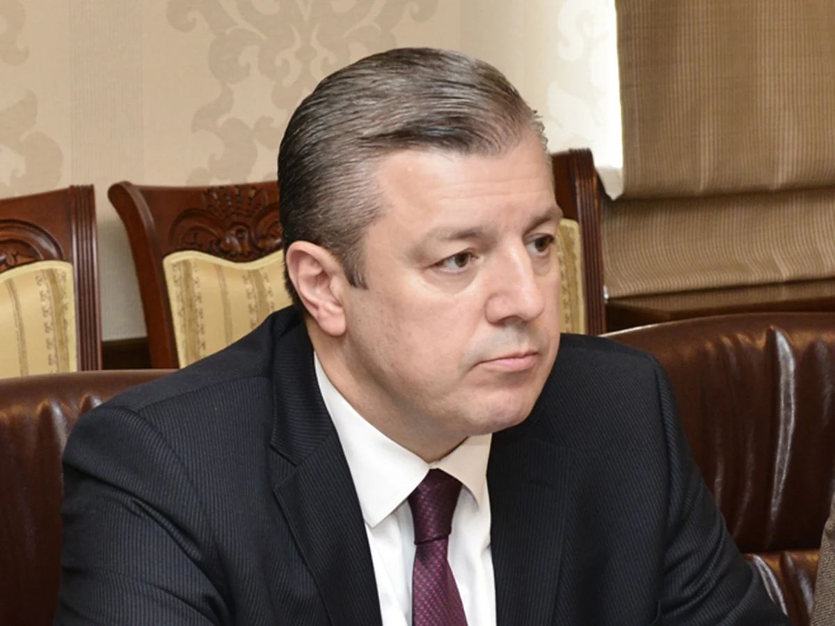 Gürcüstanın baş naziri yerli gecə klublarının fəaliyyətinin araşdırılmasını tələb edib