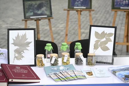 Azərbaycanın milli parklarının tanıtımı ilə bağlı hər ay tədbirlər keçiriləcək - YENİLƏNİB