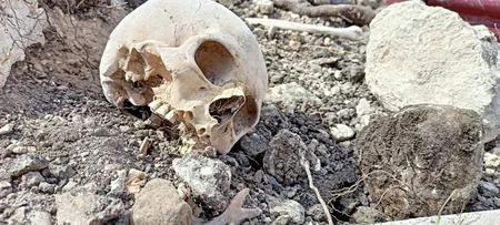 Fərruxda qazıntılar zamanı daha bir neçə azərbaycanlının meyitlərinin qalıqları tapılıb