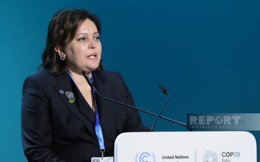 Nazir müavini: Tropik meşələrin mühafizəsi COP29 sədrliyinin fəaliyyət planının mərkəzində durur