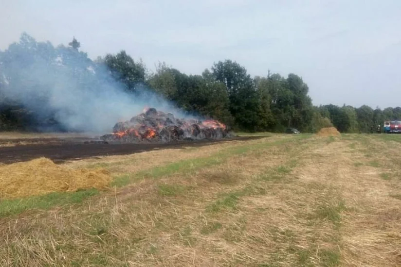 “TikTok” üçün video çəkən məktəblilər fermanı yandırdılar