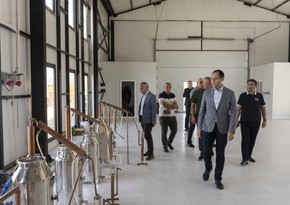 Məcnun Məmmədov Laçında təsərrüfatlara baş çəkib, fermerlərlə görüşüb