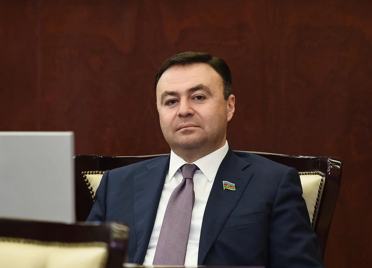Deputat: “Özəl şirkətlər gənclərə sosial sahədə dəstək olmaq istəsə də, vergiyə görə tərəddüddə qalırlar”