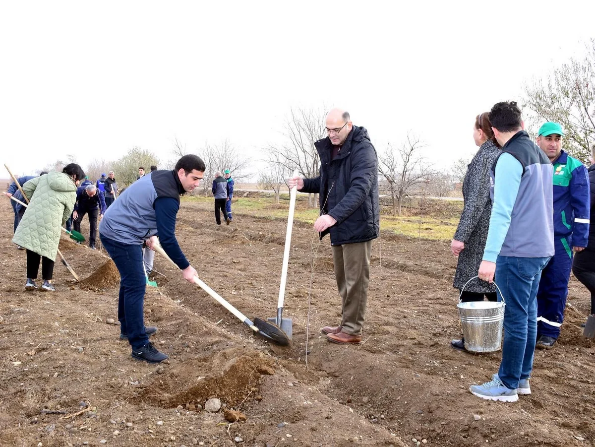 Naxçıvanda “Heydər Əliyev ili”nə töhfə olaraq növbəti ağacəkmə aksiyası keçirilib