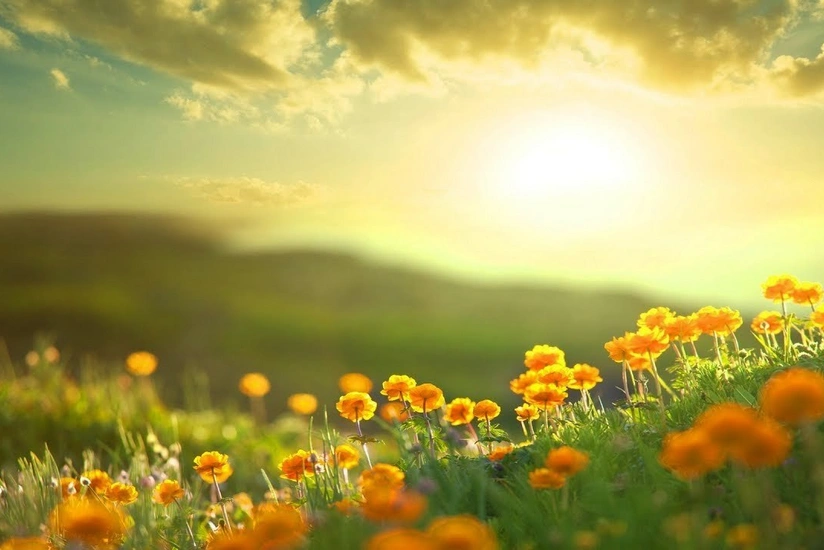 Завтра ожидается 18 градусов тепла