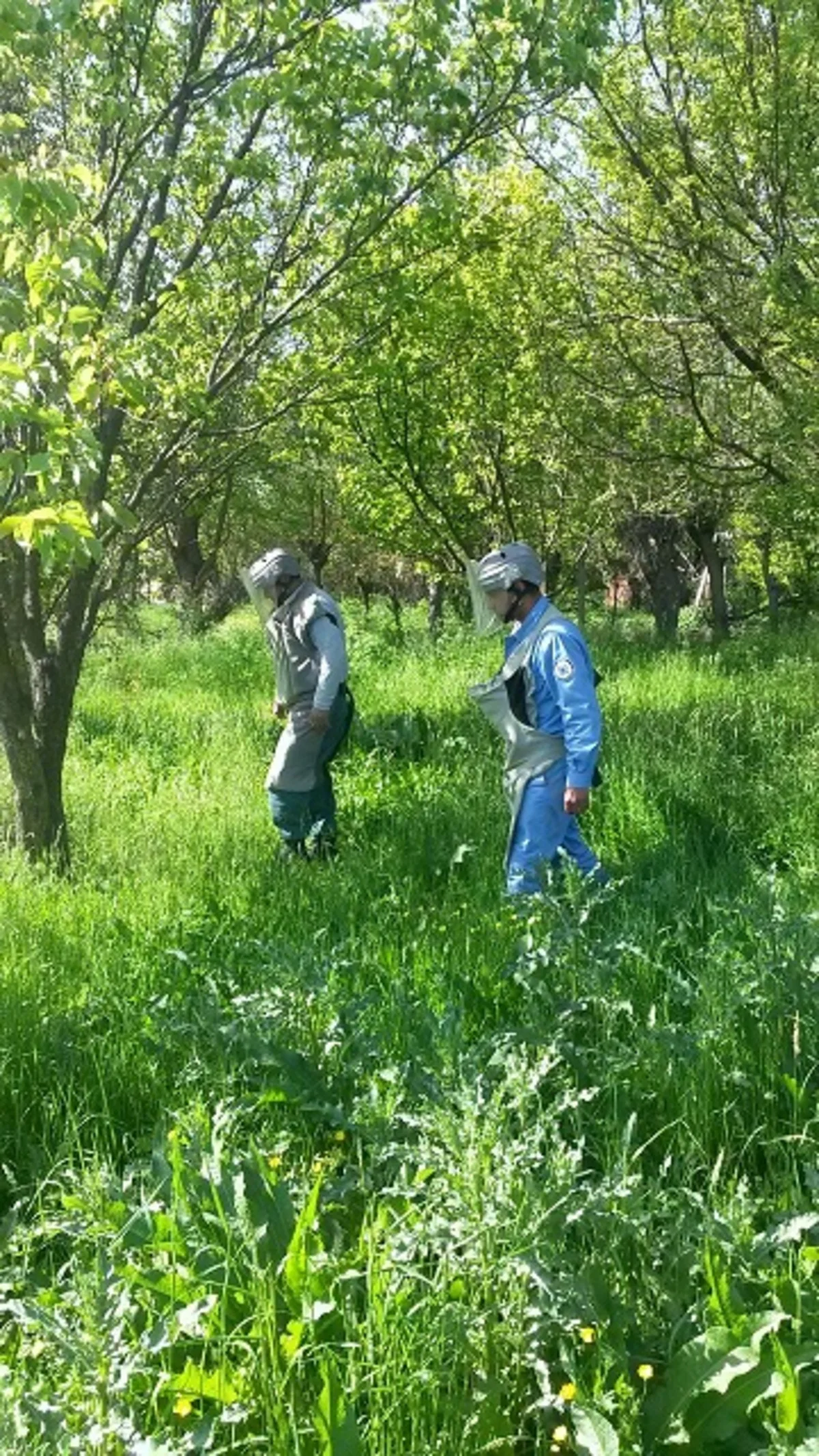 ANAMA daha 30 PHS aşkar edib