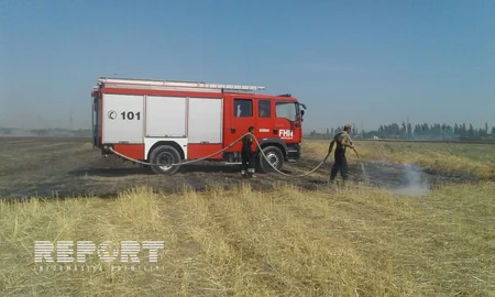 Şabranda biçilmiş əkin sahələrində baş vermiş yanğın söndürülüb - YENİLƏNİB - VİDEO