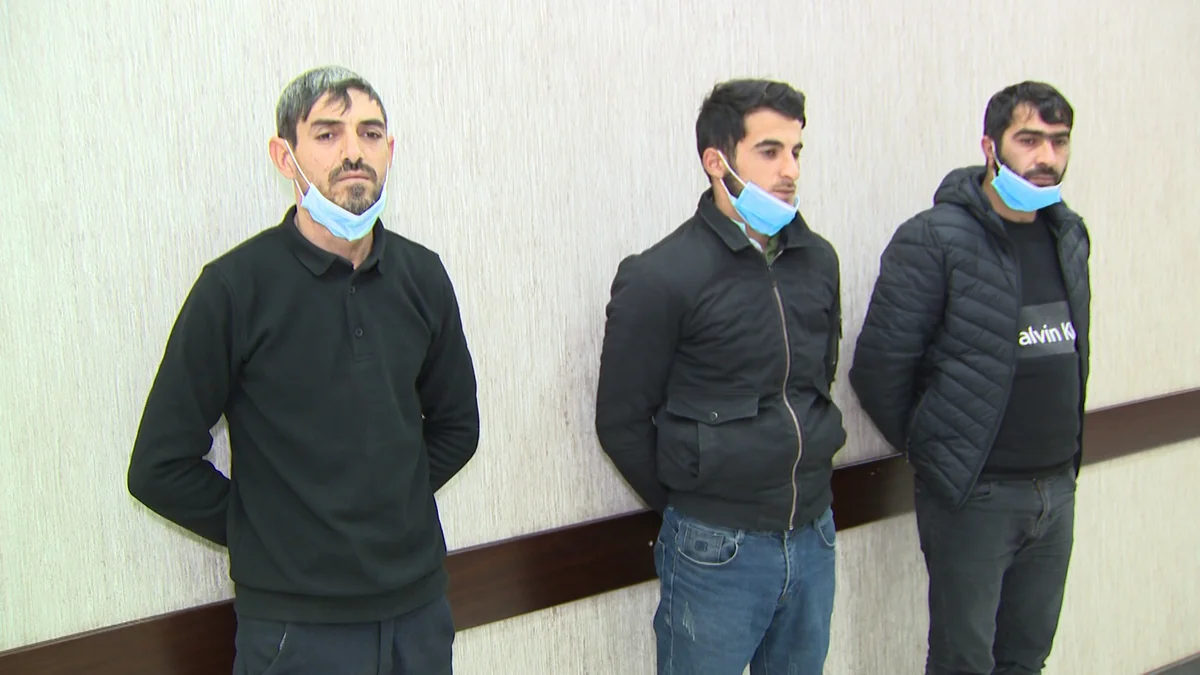 Əllidən çox xırdabuynuzlu heyvan oğurlayan şəxslər saxlanılıb