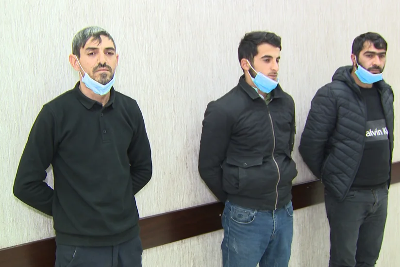 Əllidən çox xırdabuynuzlu heyvan oğurlayan şəxslər saxlanılıb