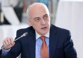 Gürcüstanın XİN başçısı: “Cənubi Qafqaz əməkdaşlıq və mehriban qonşuluq məkanına çevrilməlidir”