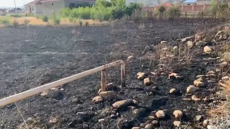 Ağsuda yanğın törətməkdə şübhəli bilinən şəxs müəyyən edilib