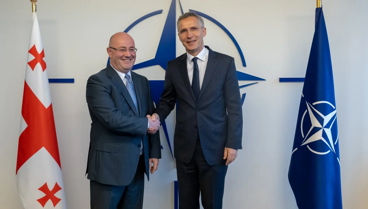 Gürcüstanın müdafiə naziri NATO-nun baş katibi ilə görüşüb