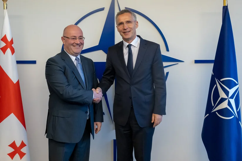 Gürcüstanın müdafiə naziri NATO-nun baş katibi ilə görüşüb