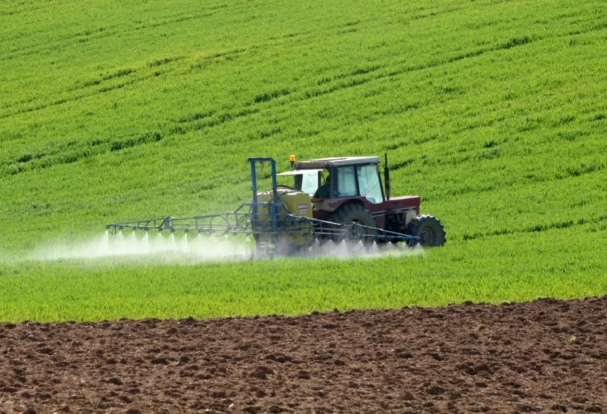 Salyanda dənli və paxlalı bitkilərin əkin sahəsi azalıb