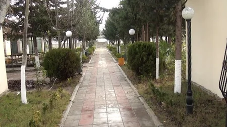 Salyanda kütləvi dava olub, 2 nəfər bıçaqlanıb