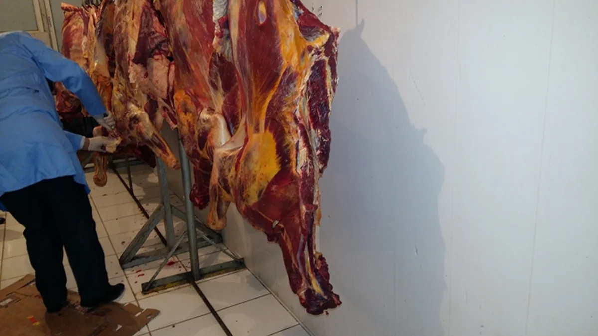 Təzə bazardakı gizli sexdə aşkarlanan yararsız ətlərin laboratoriya müayinələri açıqlanıb
