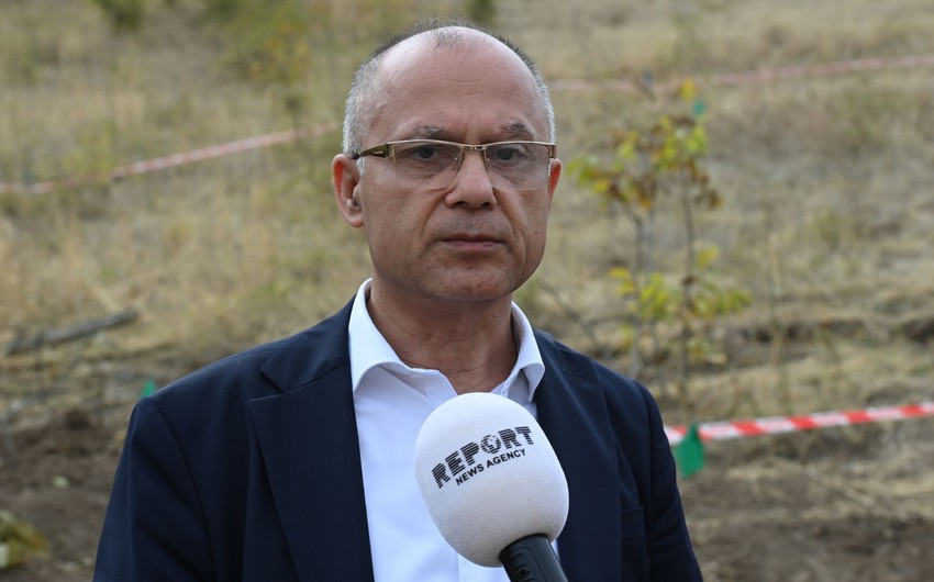 Səhiyyə Nazirliyi: “Edillidə aşkarlanan kütləvi məzarlıqdakı qalıqların ekspertizası aparılacaq”
