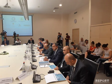 İdarə rəisi: Gömrük qeydiyyat-keçid prosedurlarının sadələşdirilməsi istiqamətində bir çox işlər görülüb