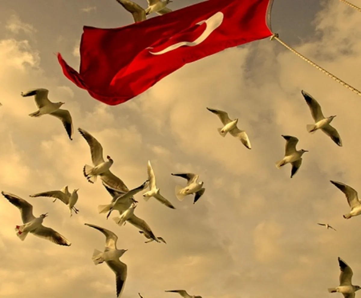 İstanbulda terror törədilən yerə “Şəhidlər təpəsi” adı verilib