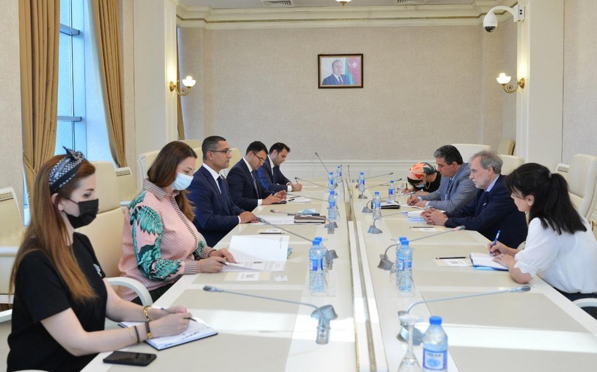 Azerbaijani MPs meet with delegation of French news portal 