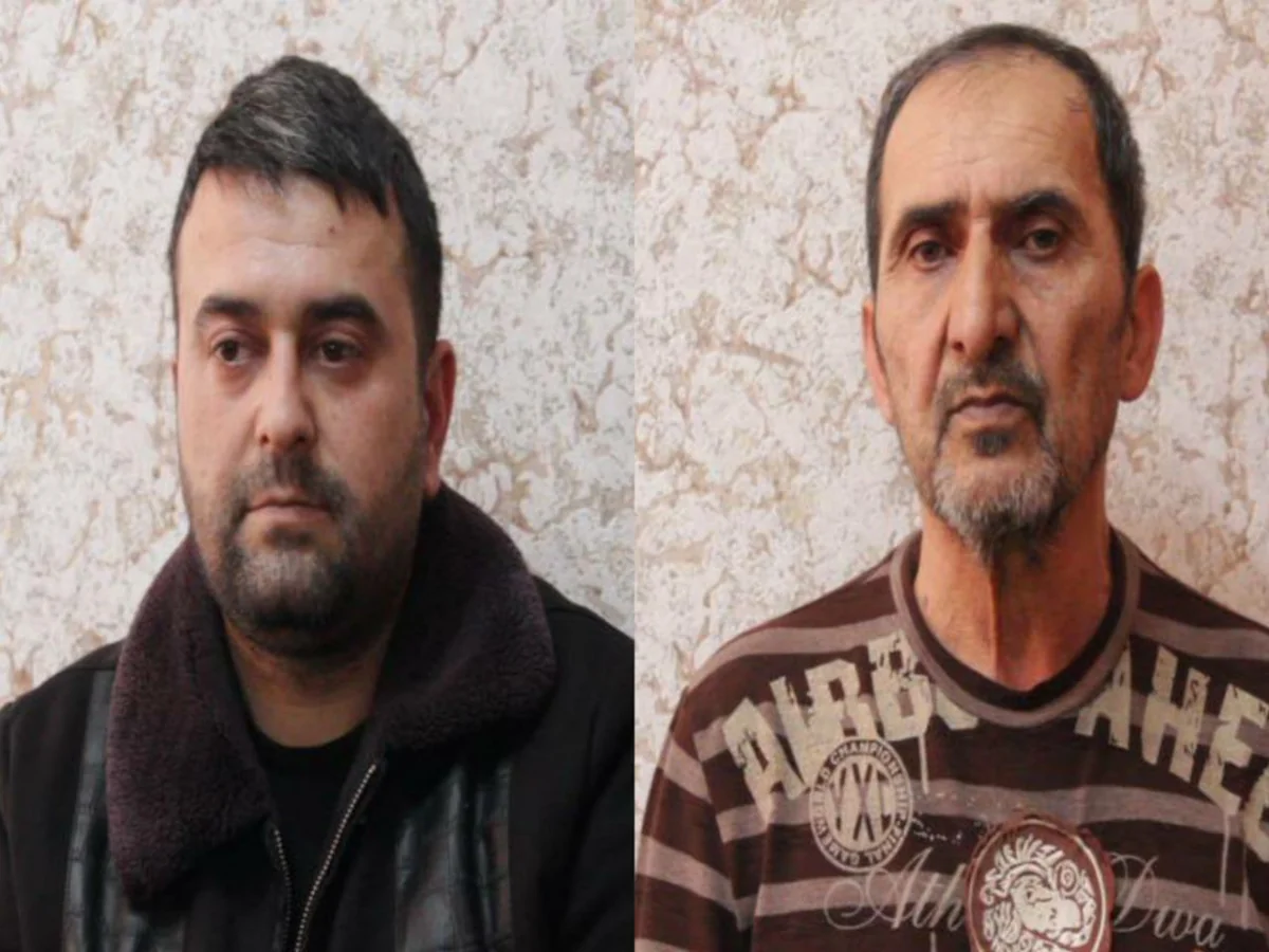 Göyçayda mal-qara dolu tövlə qəsdən yandırılıb