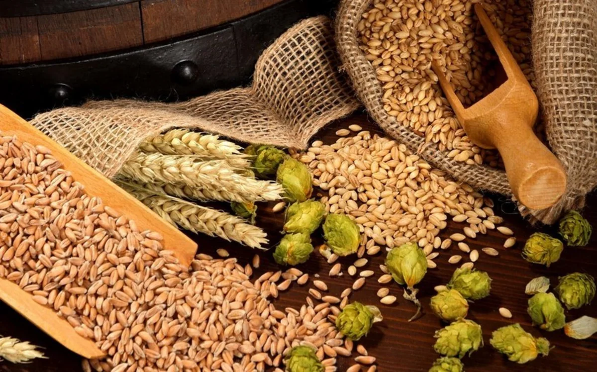 Azerbaijan doubles malt imports from Ukraine