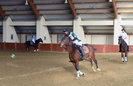 Fərid Qayıbov Binə Atçılıq Mərkəzində olub