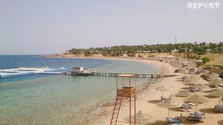 Qırmızı dəniz sahilindəki ecazkar və nadir gülləri ilə məşhur şəhərdən - REPORTAJ