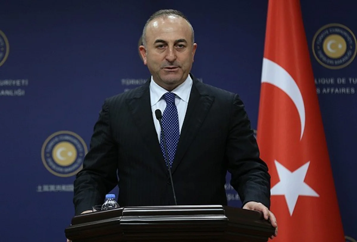 Turkish FM: Turkey now has a new exclave in Syria