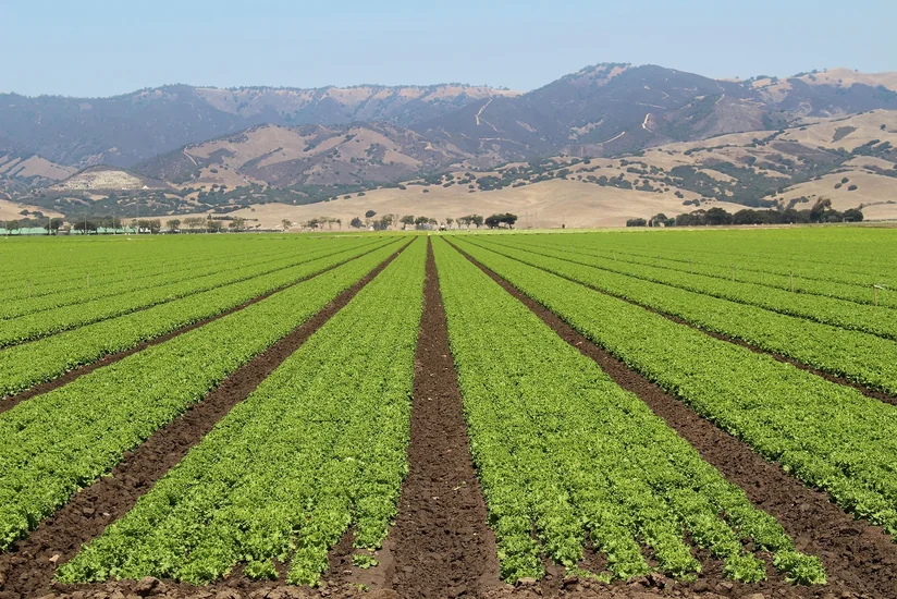 ​На развитие семеноводства в Азербайджане выделено 12 млн. манатов