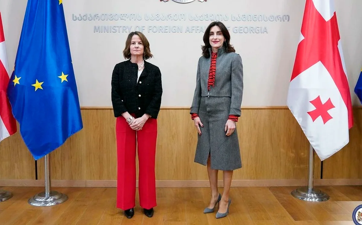 Georgia's Foreign Minister meets with US Ambassador