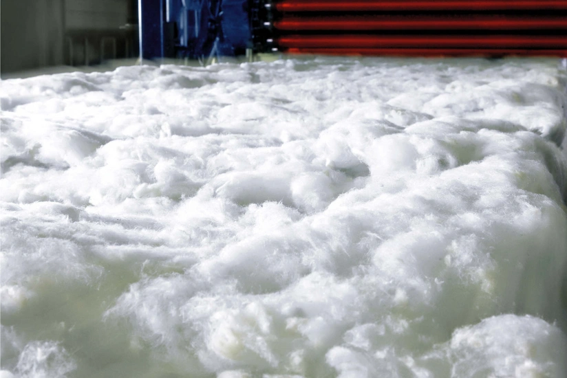 Azerbaijan bans usage of genetically modified cotton