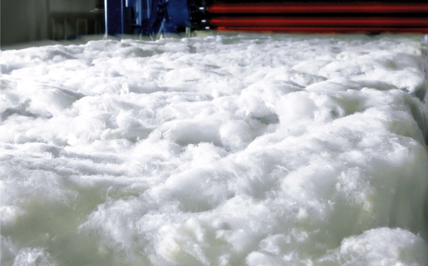 Azerbaijan bans usage of genetically modified cotton