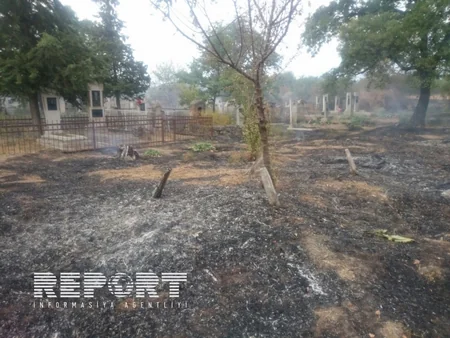 Qaxda kənd qəbiristanlığında yanğın baş verib - FOTO